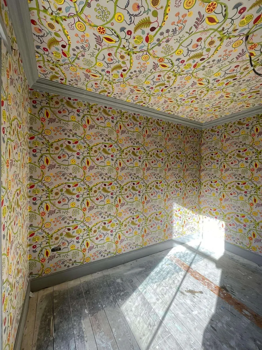 Papered room and ceiling, Penzance