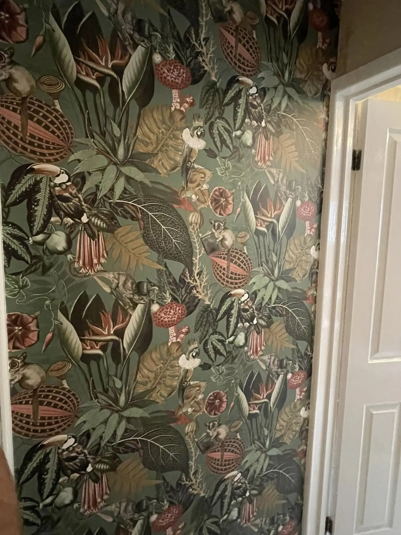 Botanical wallpaper feature wall